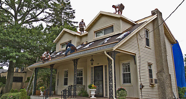 Best Roof Maintenance Services  in Bayshe, OR